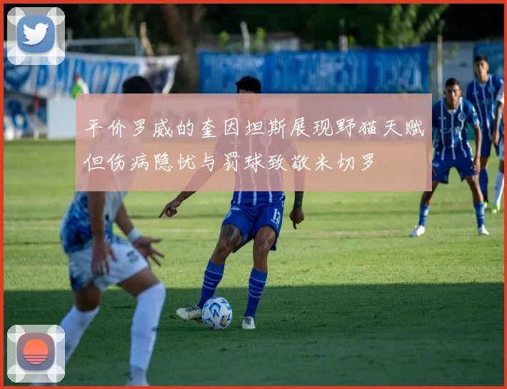 平价罗威的奎因坦斯展现野猫天赋但伤病隐忧与罚球致敬米切罗