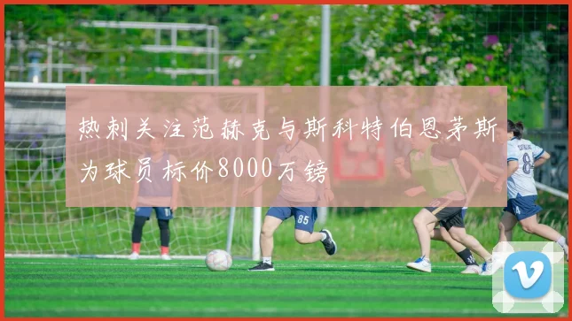 热刺关注范赫克与斯科特伯恩茅斯为球员标价8000万镑